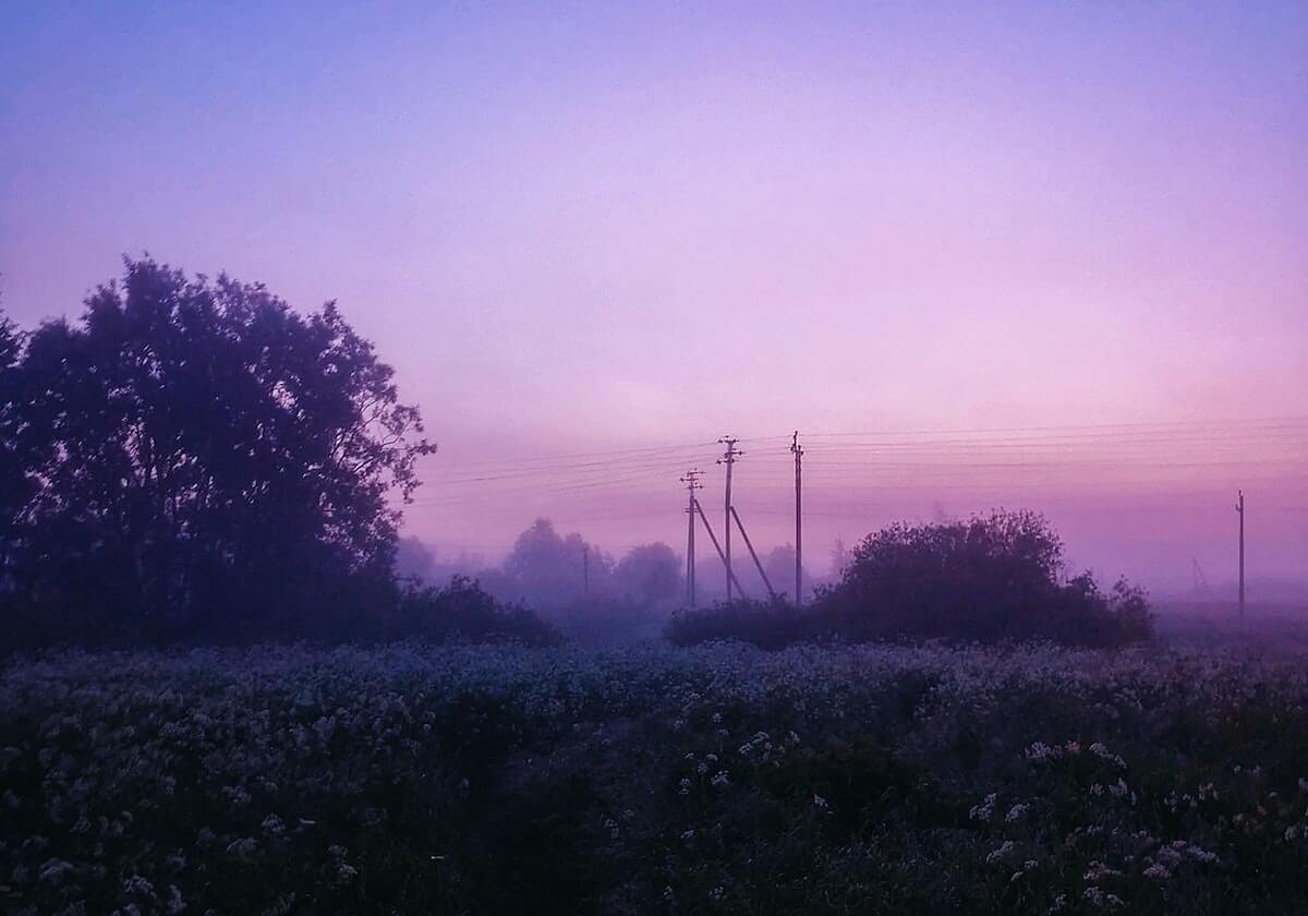 MK体育官方网站-【夜读】安联屠宰场成了多特的噩梦